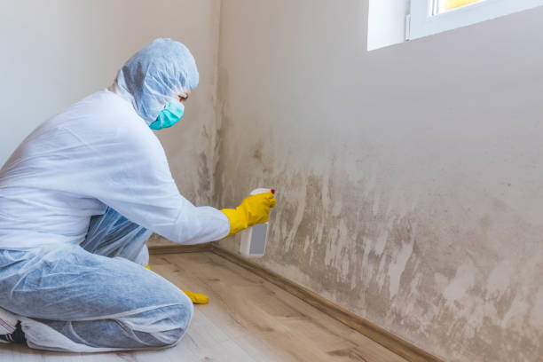 Licensed Mold Remediation service in Audubon, NJ - Car Mold Remediation