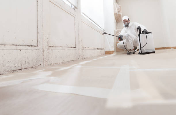 24/7 Emergency Mold Remediation experts in Audubon, NJ