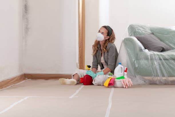 Reliable Mold Remediation contractor in Audubon, NJ by Car Mold Remediation
